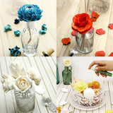 Figment Sola Flower - Nostalgia