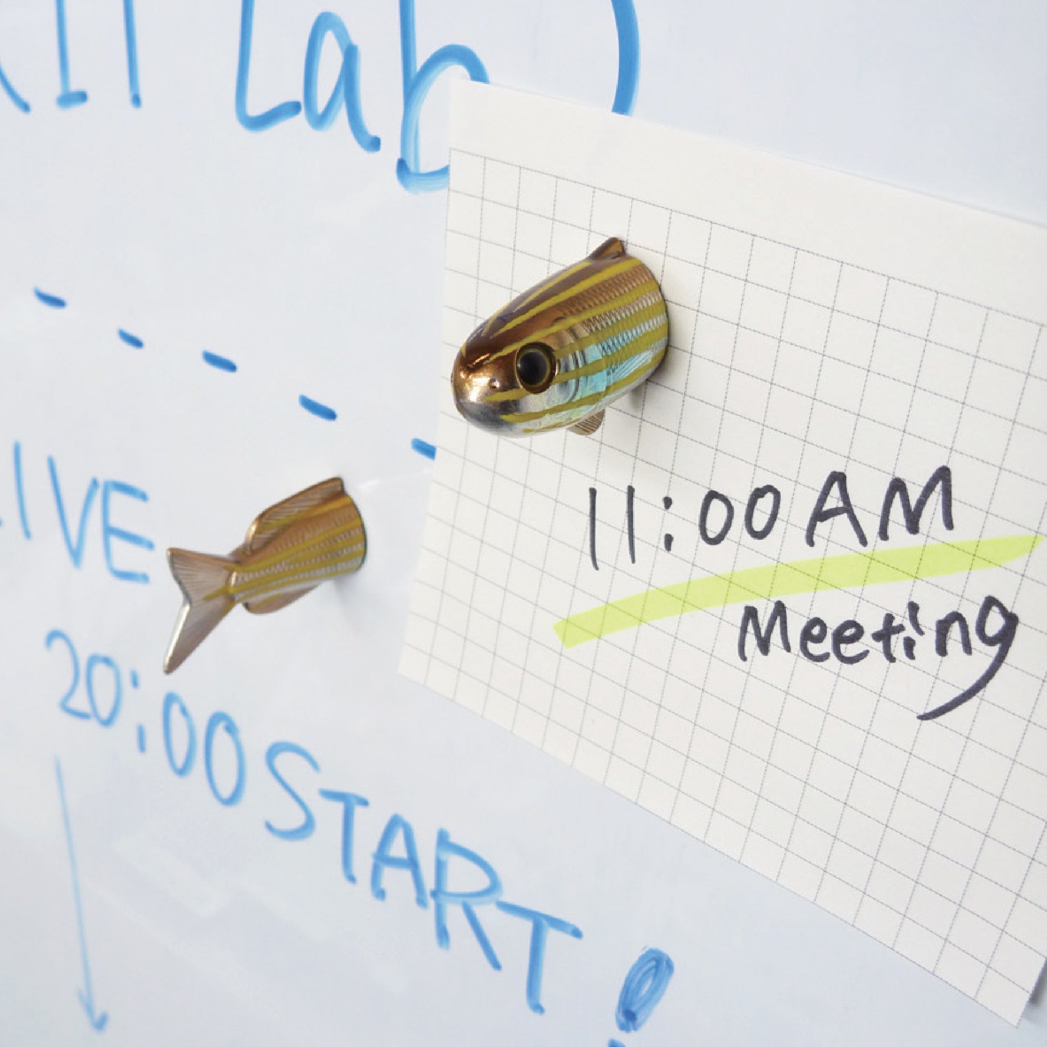 Helfrichi Firefish Fish Magnet