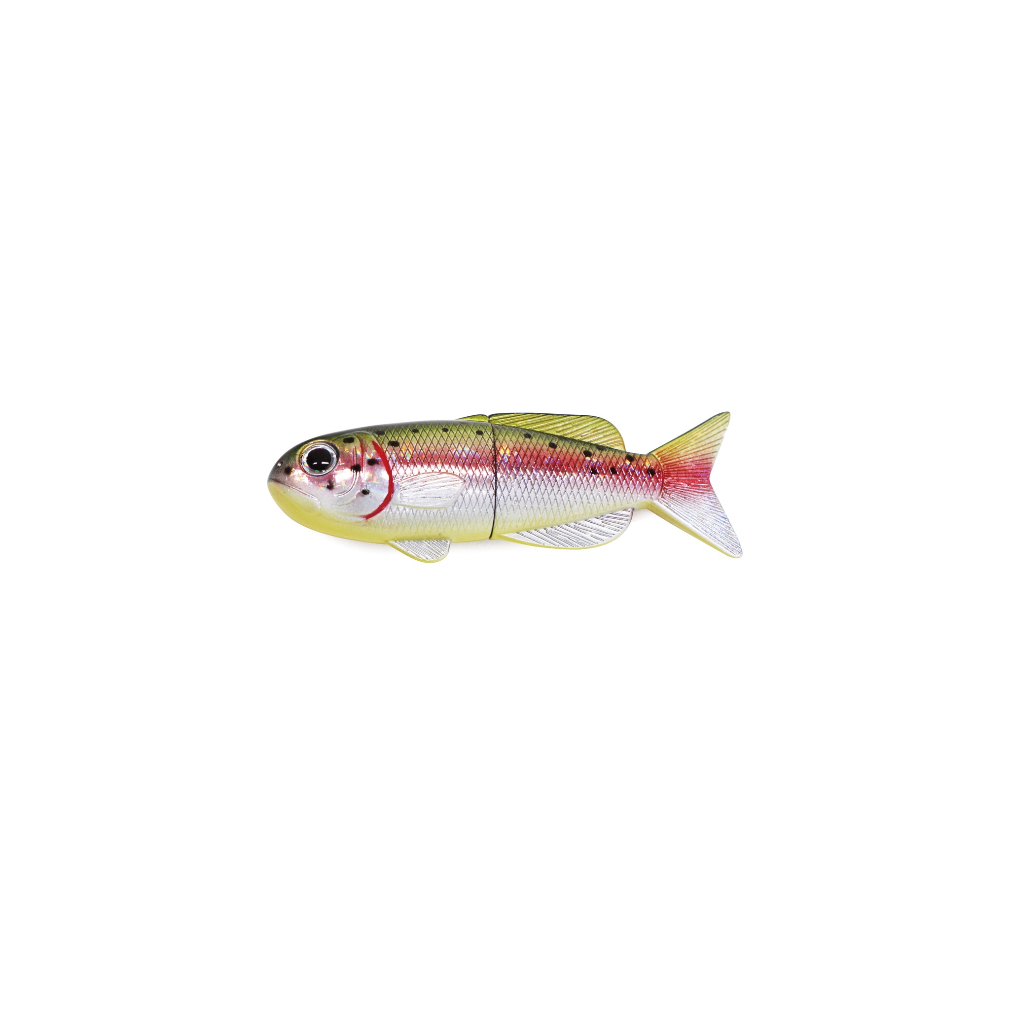 Rainbow Trout Fish Magnet