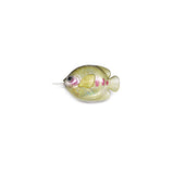 Fish Measure - Iwana