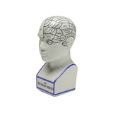 The Phrenology - M