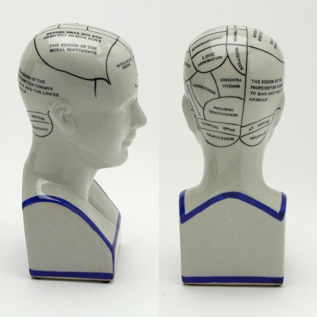 The Phrenology - S