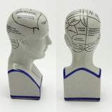 The Phrenology - S