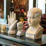 The Hand