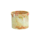 Plant Pot x 2pcs