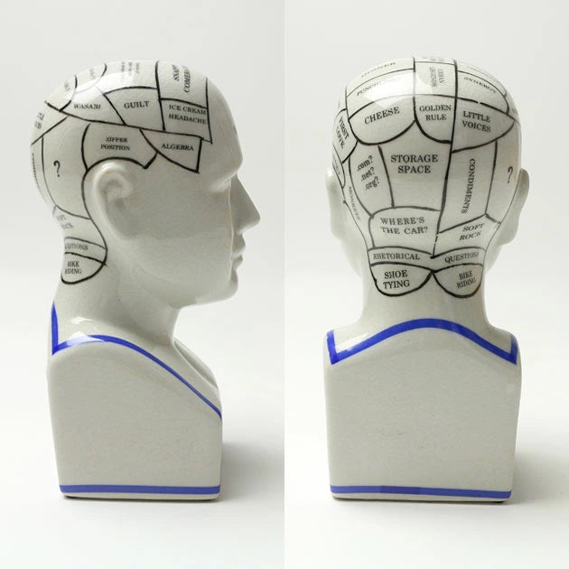 The Phrenology - M