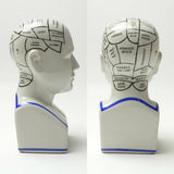 The Phrenology - M