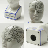 The Phrenology - M