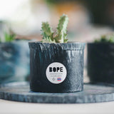Plant Pot x 2pcs