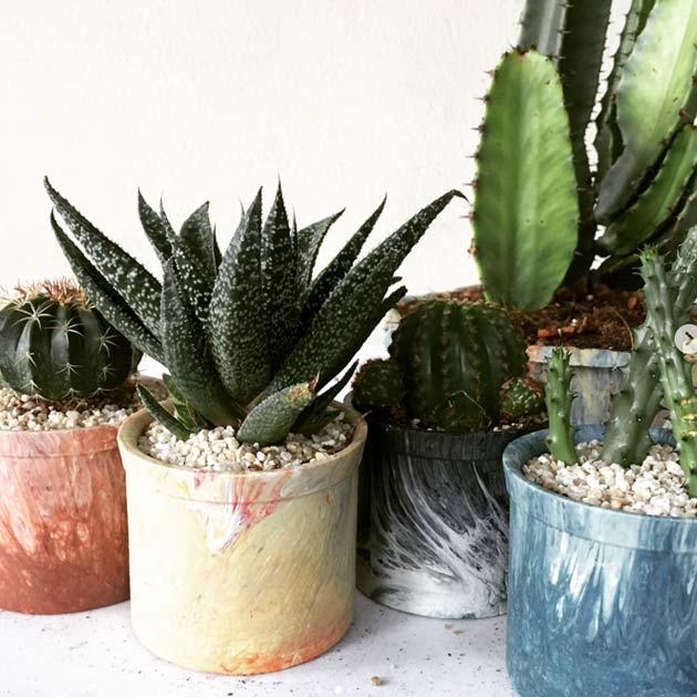 Plant Pot x 2pcs
