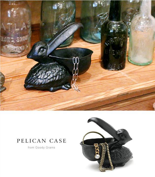 Pelican Case