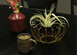Round Bowl