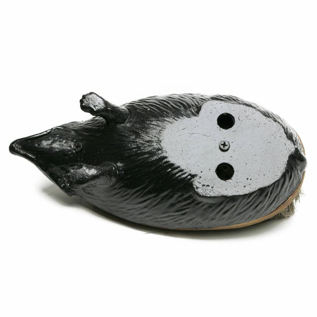Hedgehog Shoe Brush