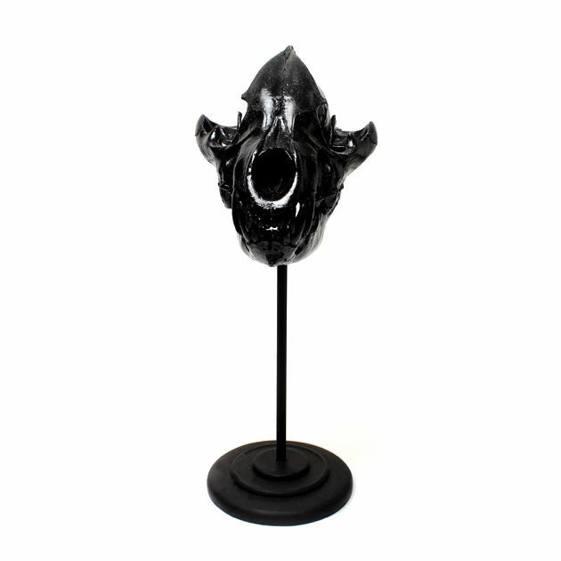 Skull