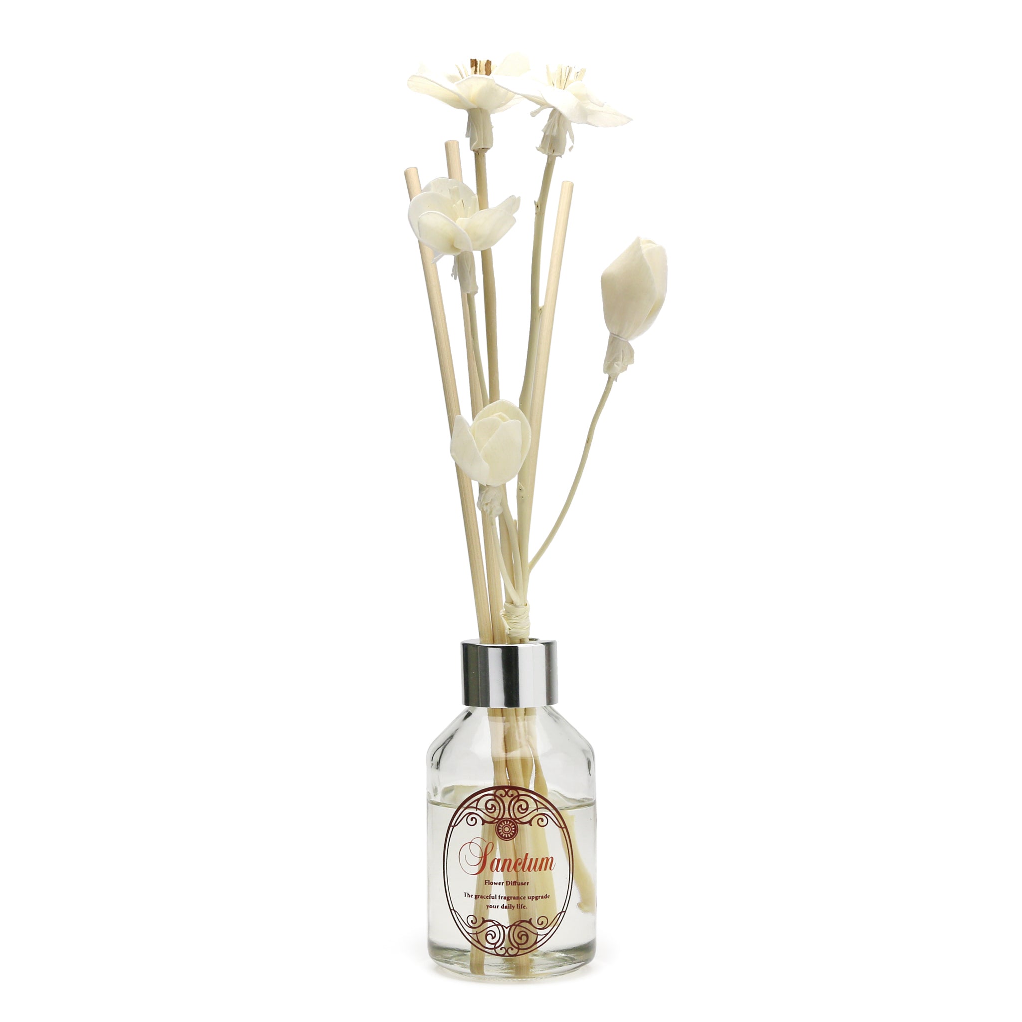 Sanctum - Daisy / Ice Fruity
