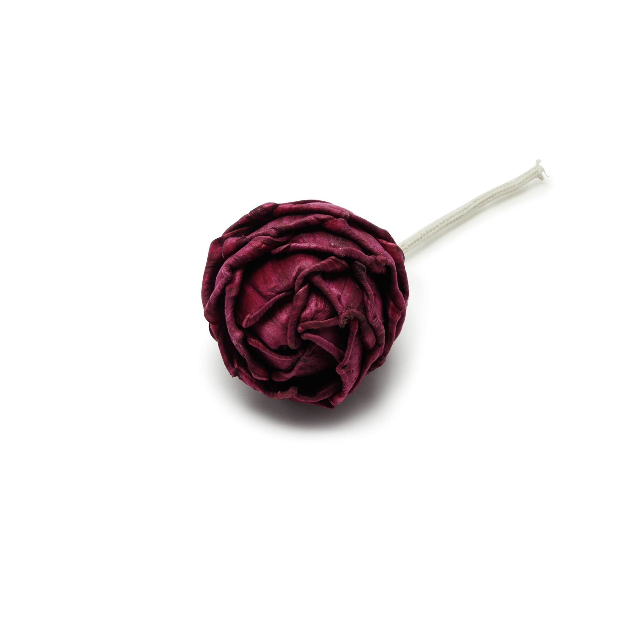 Figment Sola Flower - Chrysanthemum