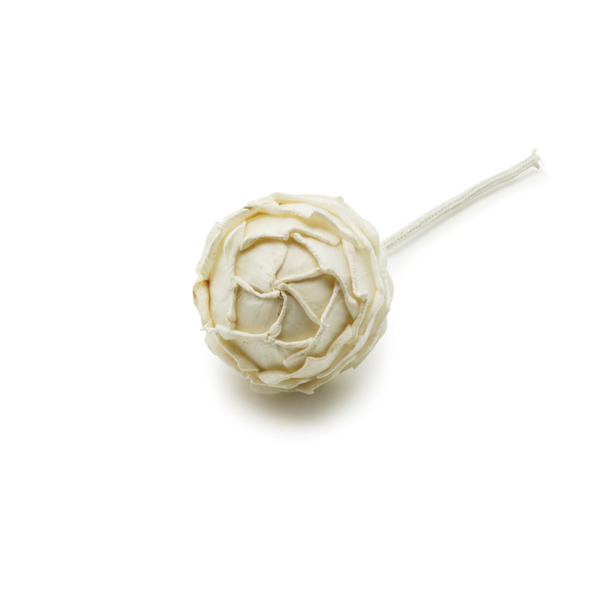 Figment Sola Flower - Ambridge Rose