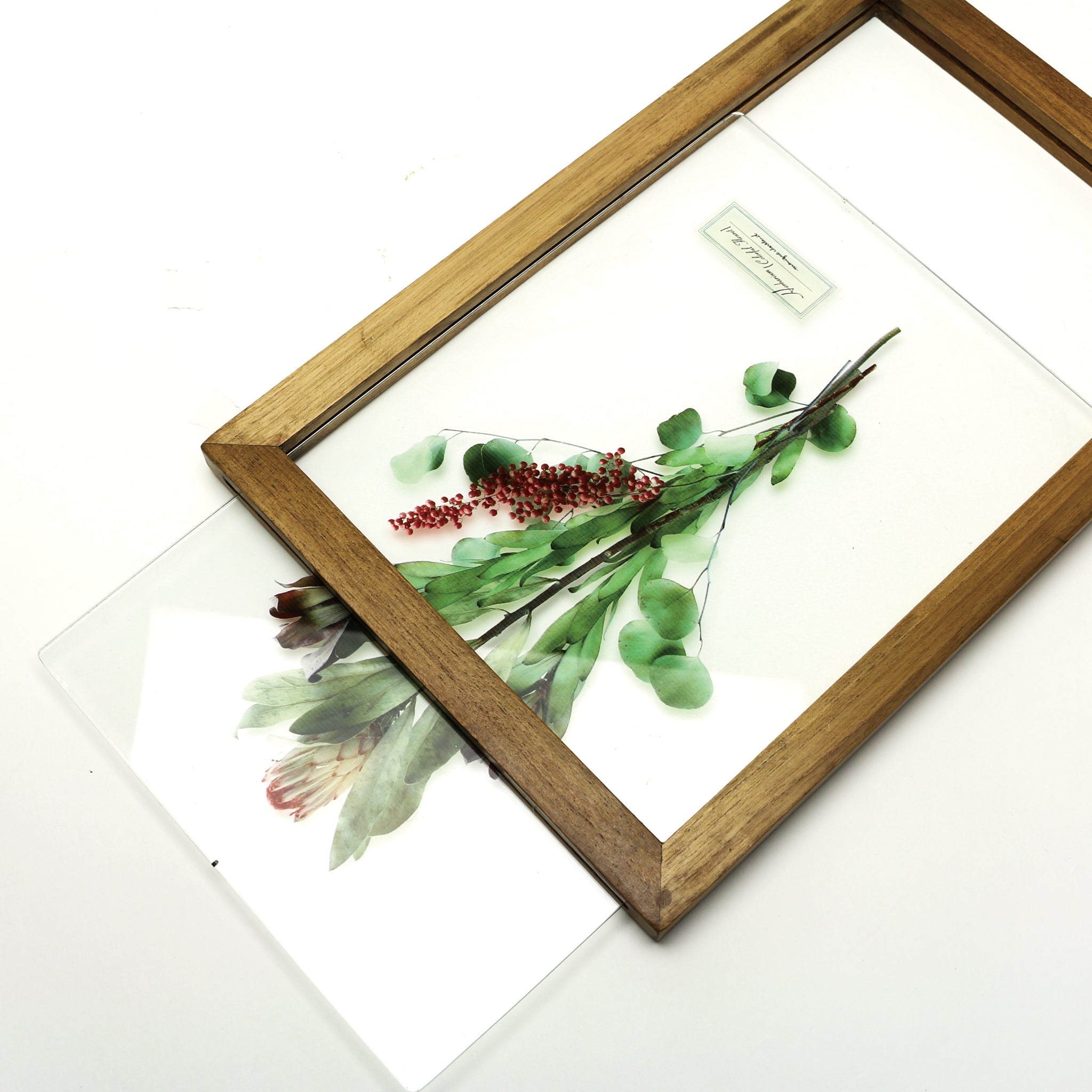 Glass Frame Flower - Orange