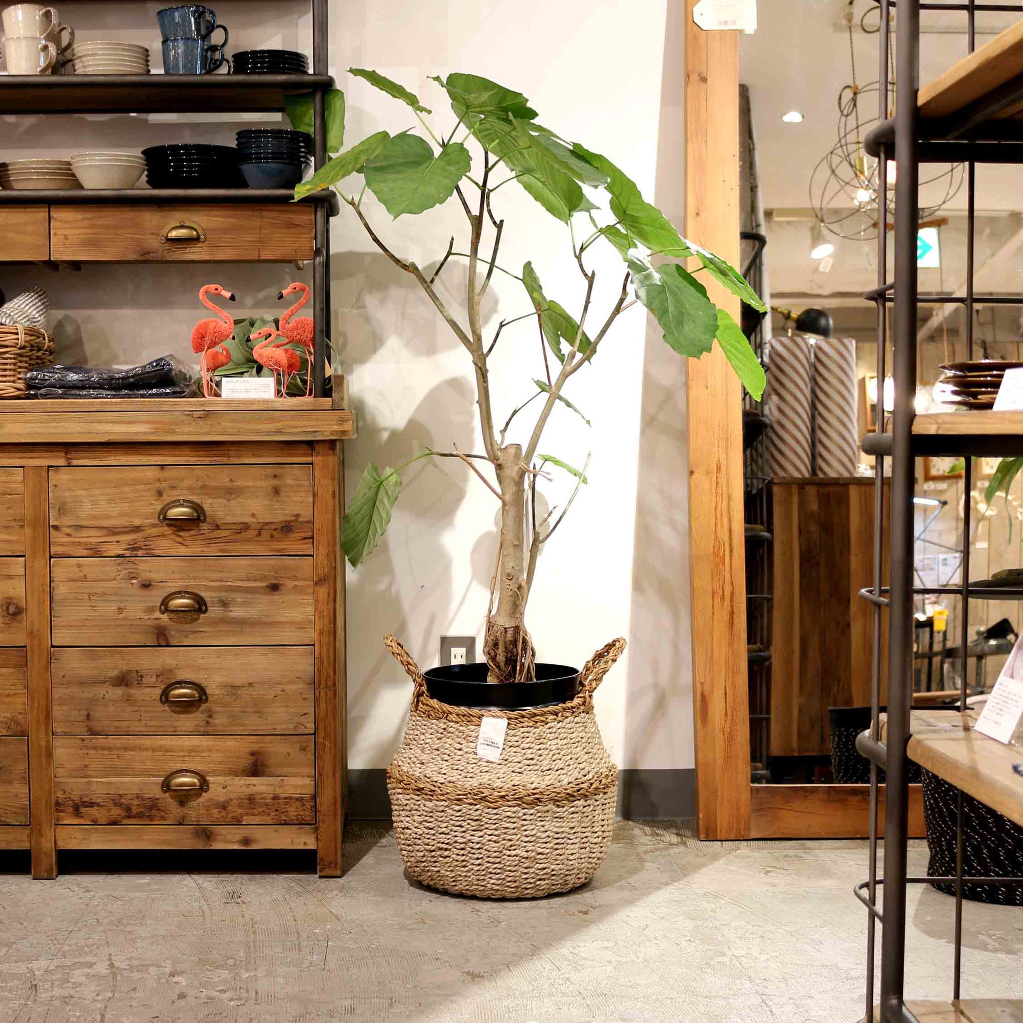 Rope Round Basket - L