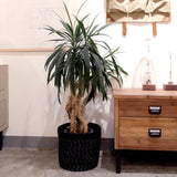 Jute Round Cylinder