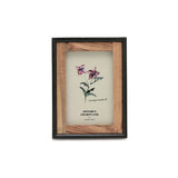 Photo Frame - Elsa