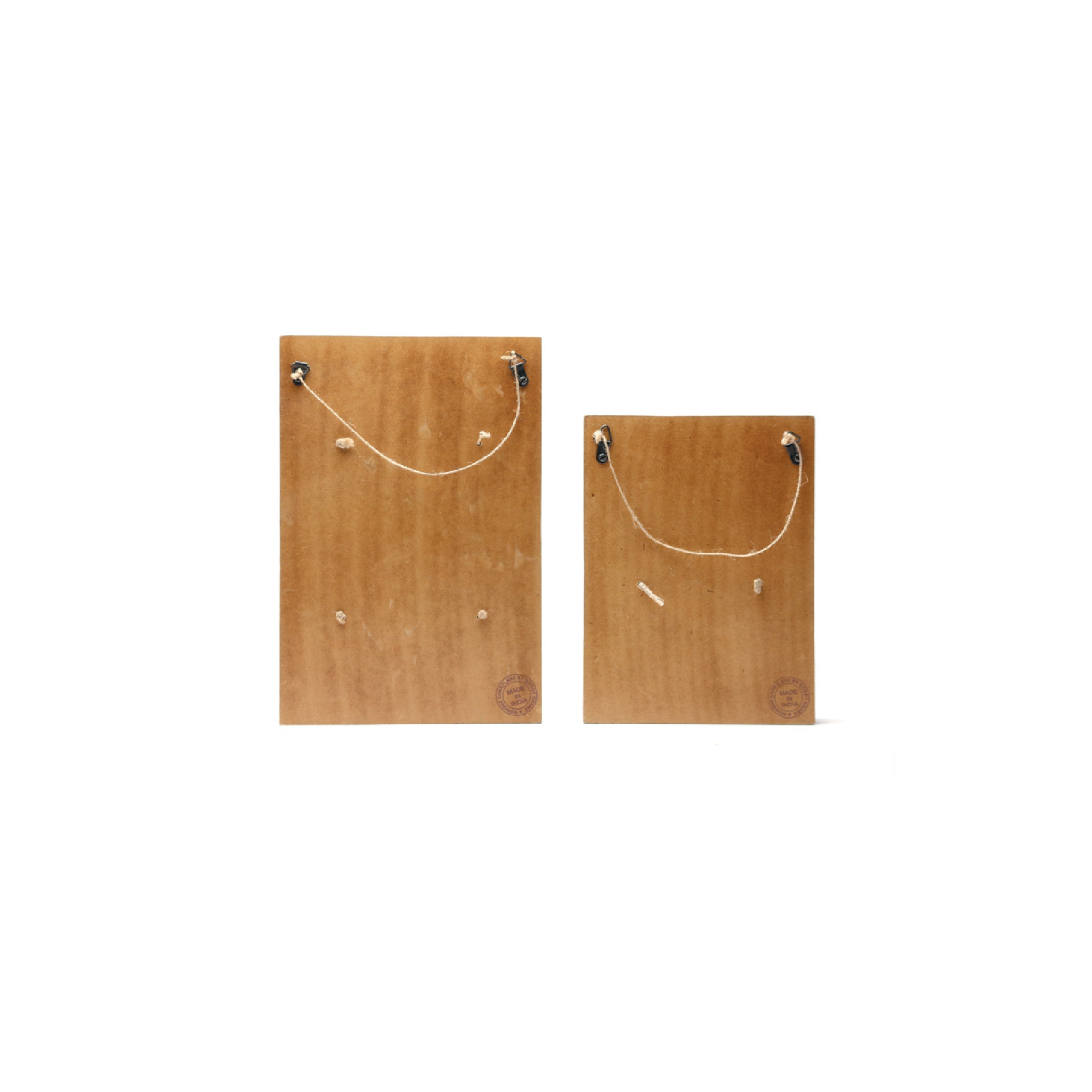 Air Plants Holder - S