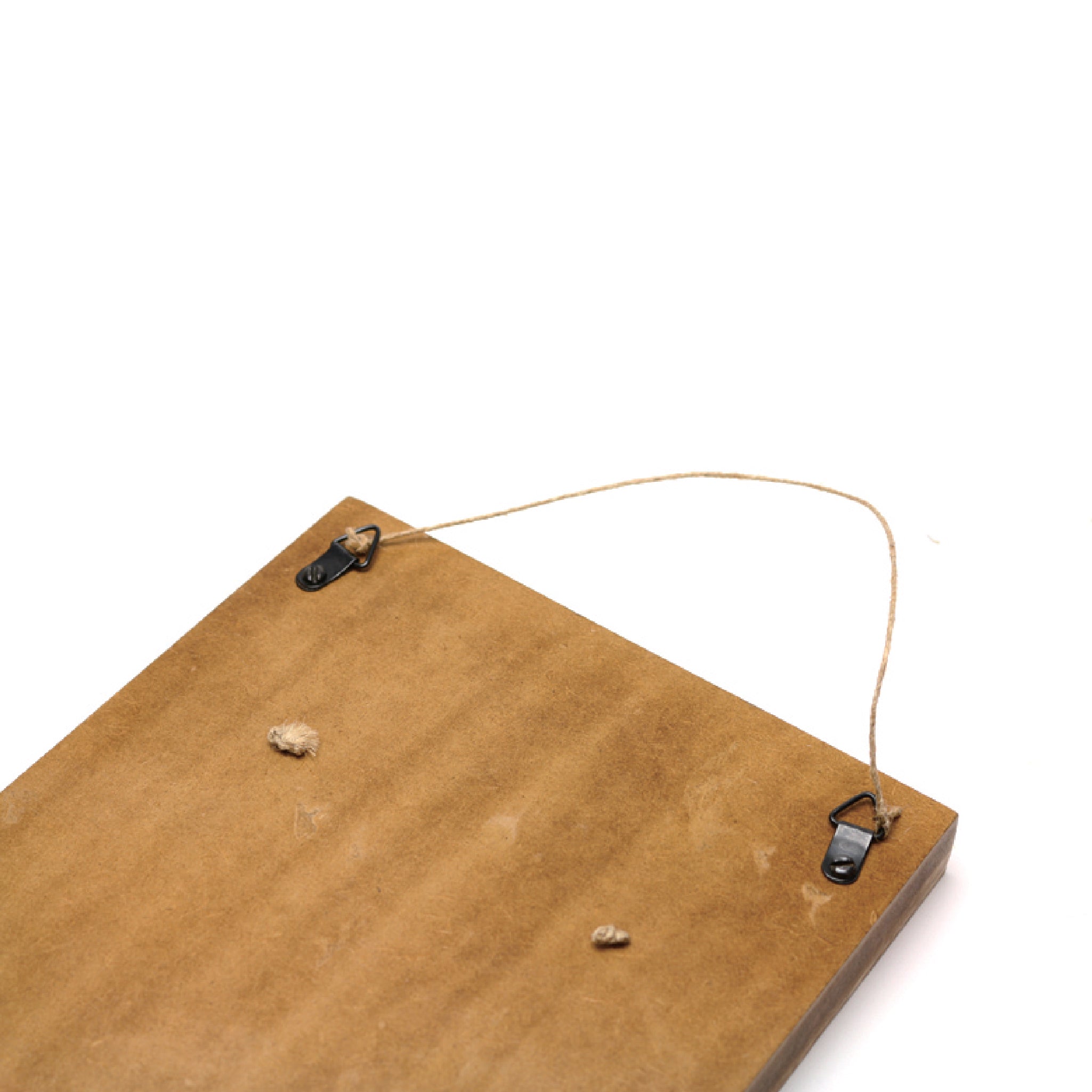 Air Plants Holder - L