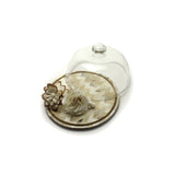Mahoba Glass Dome