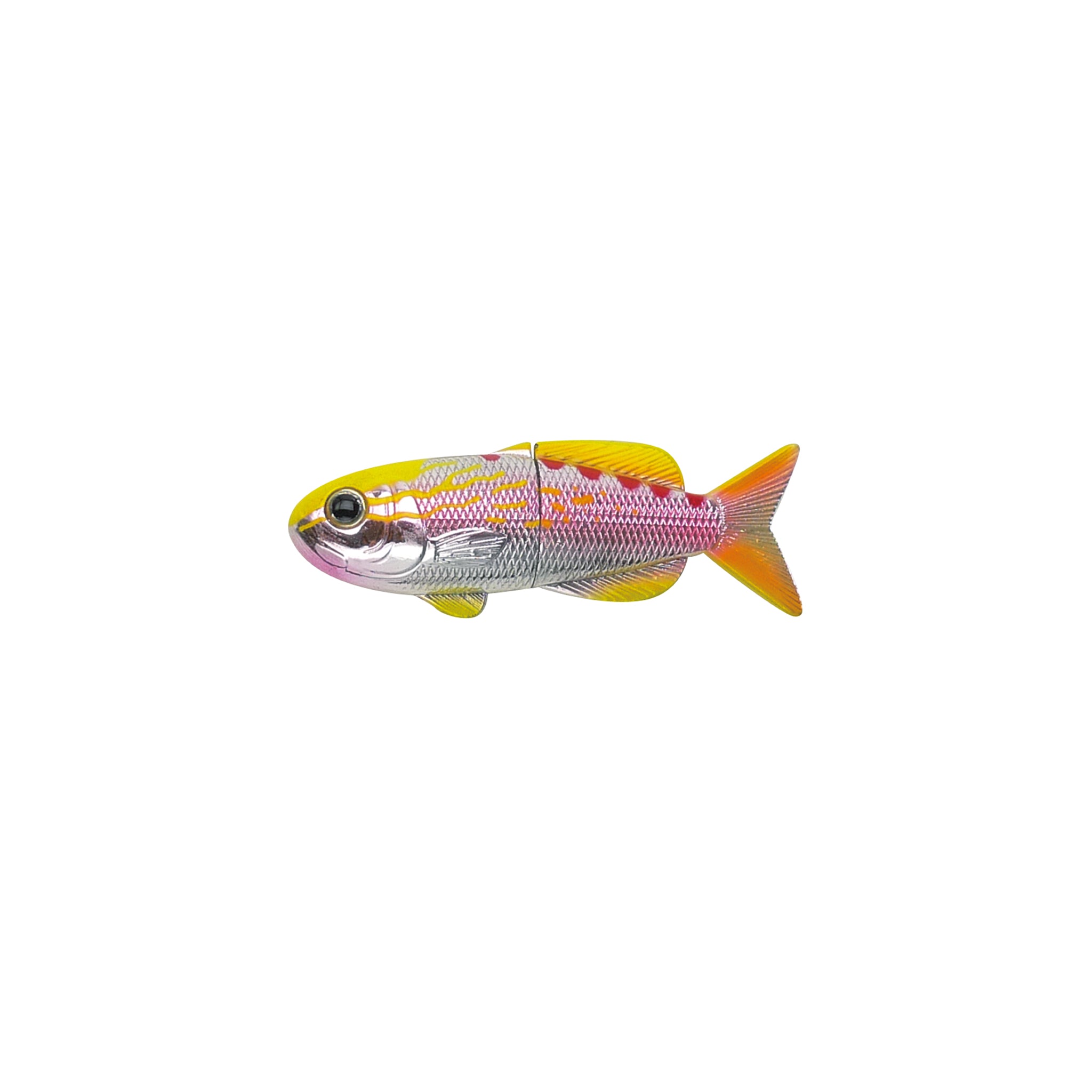 Tiger Queen Fish Magnet
