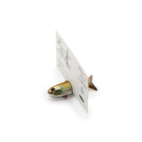Rainbow Trout Fish Magnet