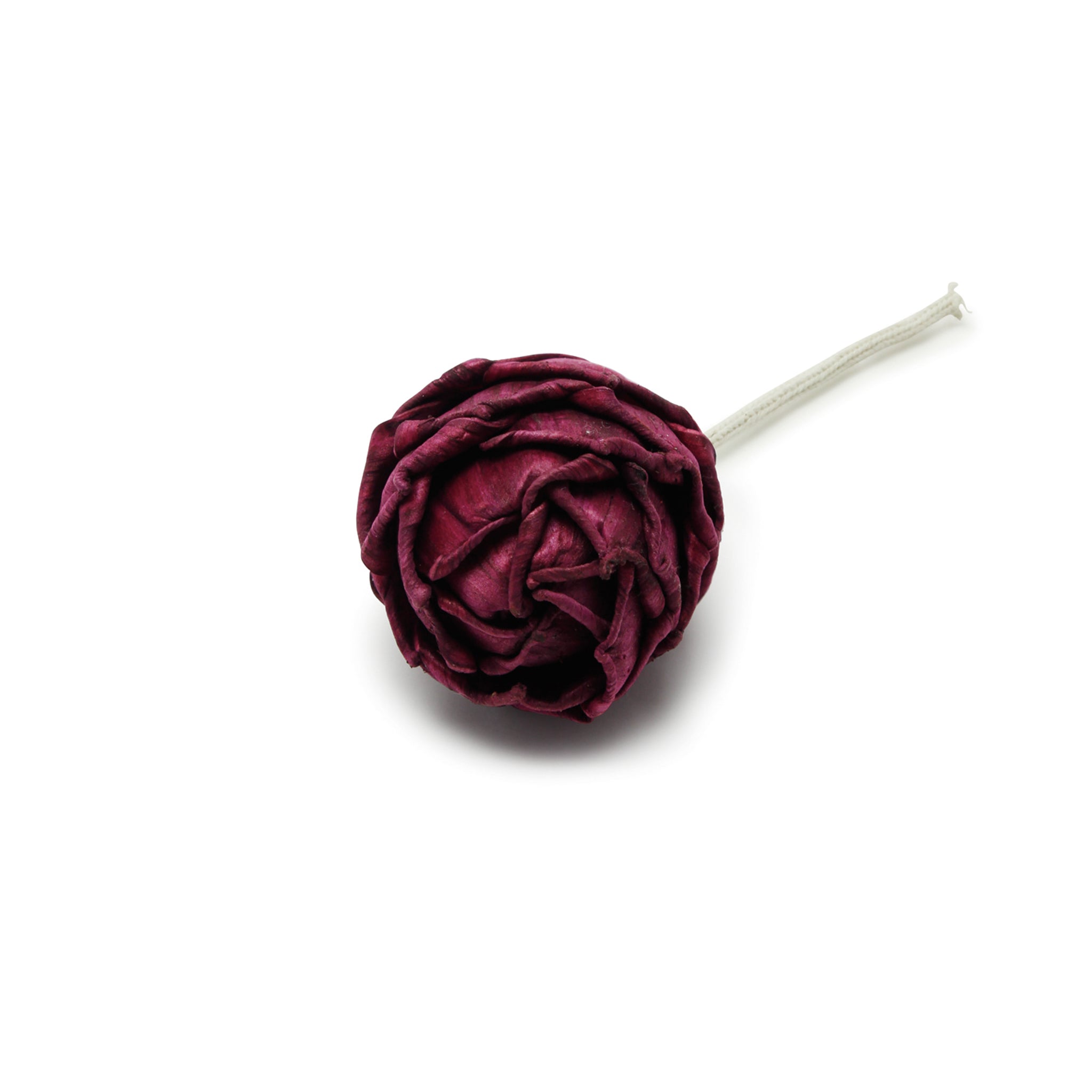 Figment Sola Flower - Ambridge Rose
