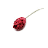 Figment Sola Flower - Protea